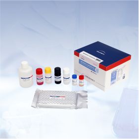 猪圆环病毒2型ELISA抗体检测试剂盒