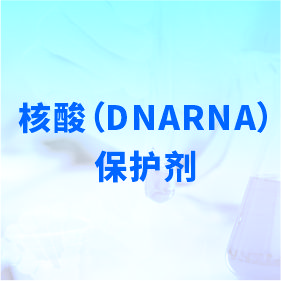 核酸（DNARNA）保护剂